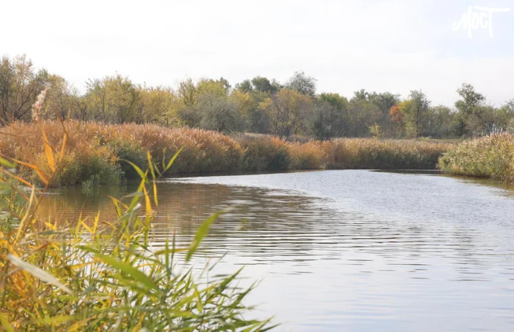 Екологічні збитки на Херсонщині перевищили 1 трильйон гривень