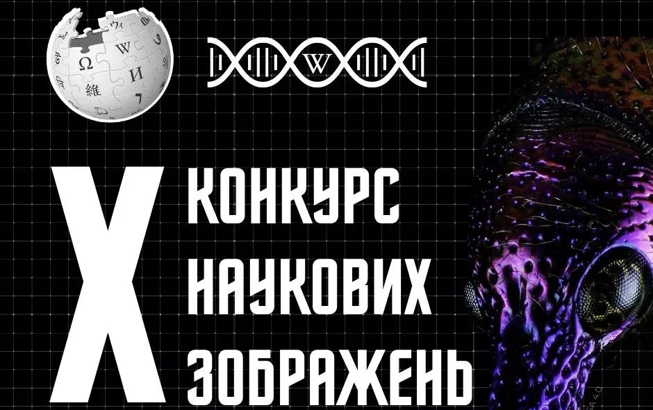 Зображення об’єктів Херсонщини стали призерами національного конкурсу