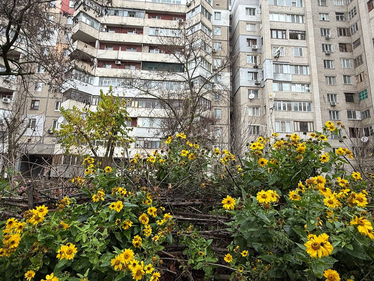 Третина опитаних херсонців вірить у перемогу та членство в ЄС вже цього року, – дослідження