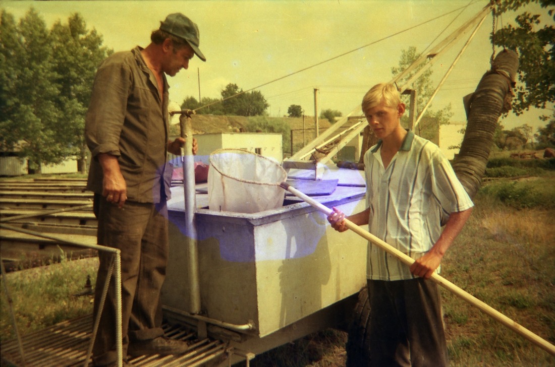 вирощують рибу на початку 2000-х