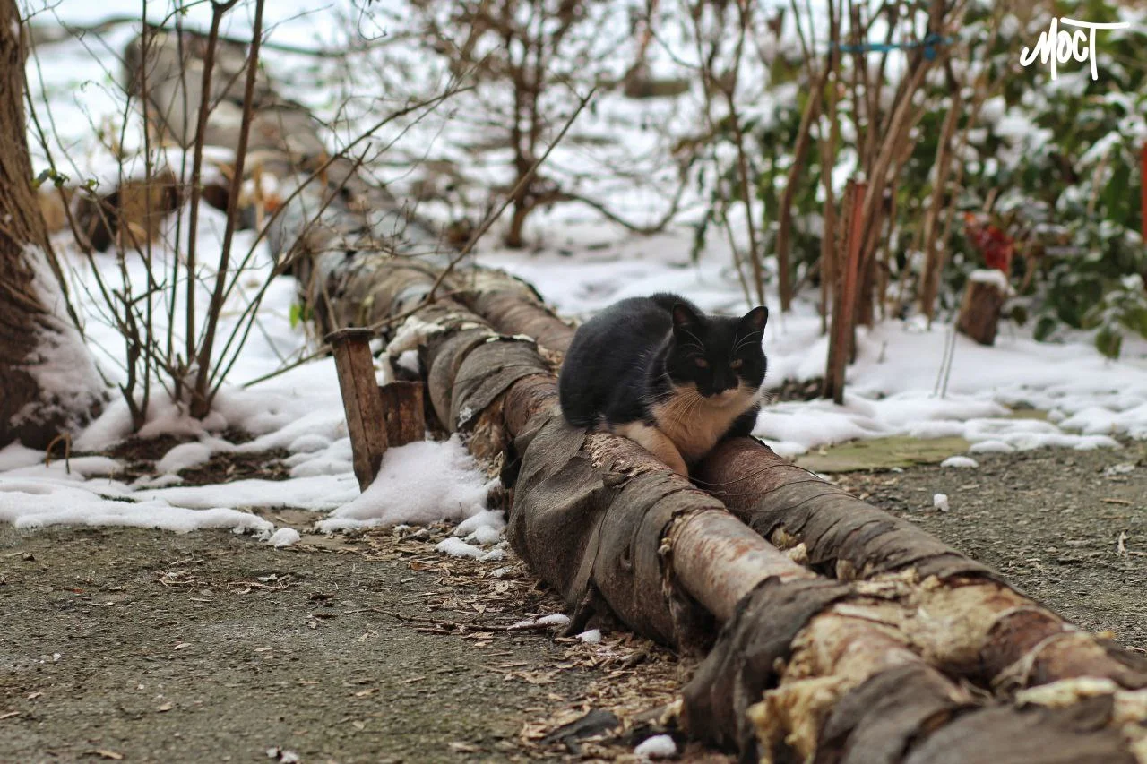 У Херсонській області визначили погодні умови для завершення сезону опалення
