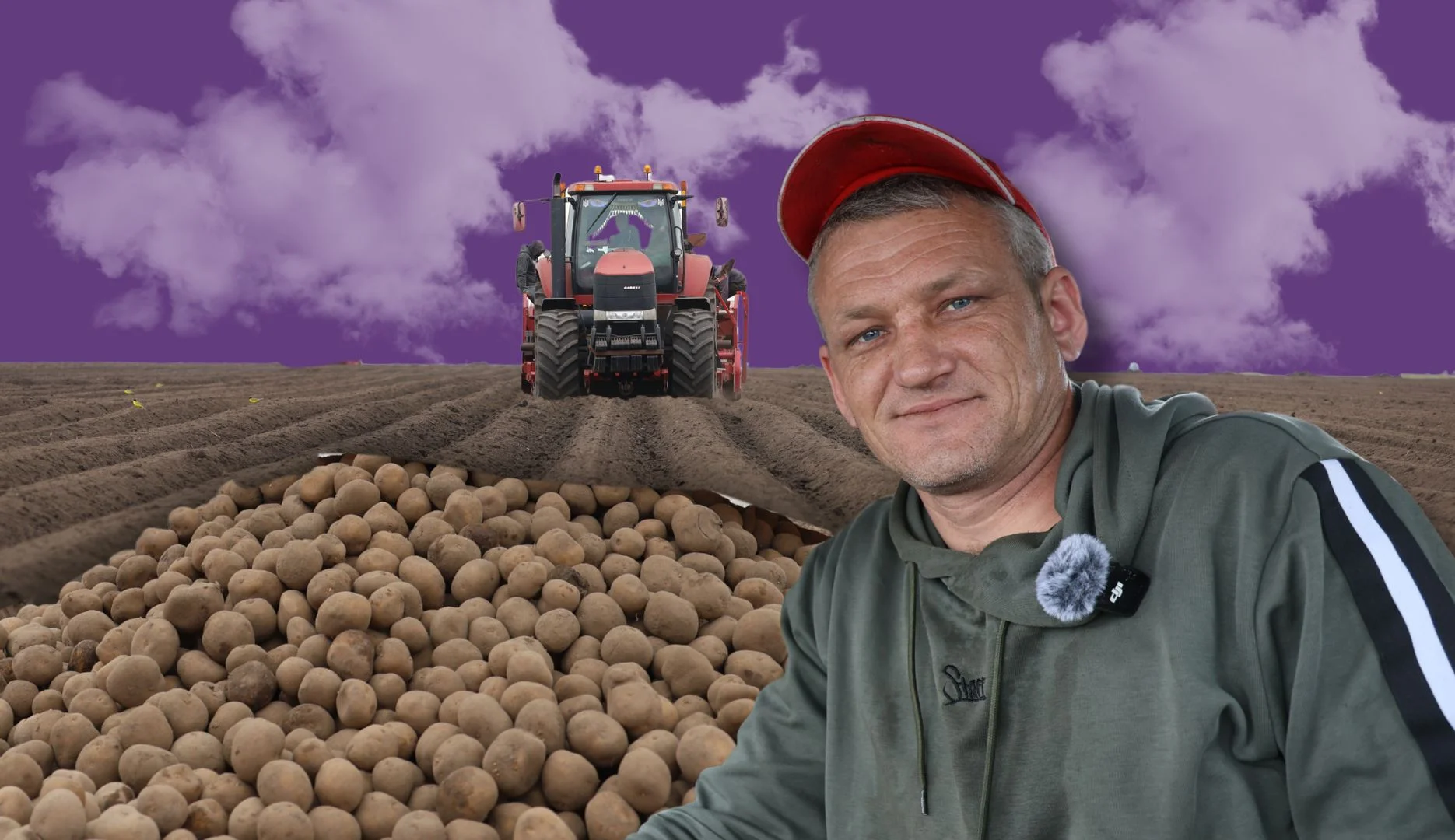 Як на херсонських полях народжуються майбутні українські чипси