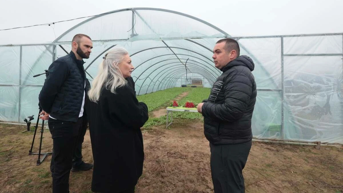 Підприємець з окупованої частини Херсонщини відкрив тепличне господарство на Вінниччині