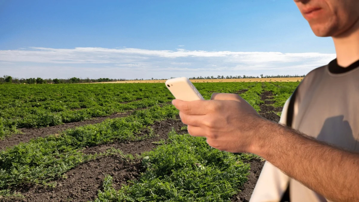 "Є телеграм-канал, де ти пишеш і питання вирішуються". Як на Херсонщині комунікують влада та фермери