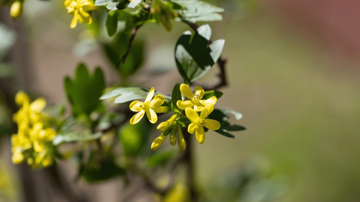 Яка погода очікується в Херсоні та області 8 квітня 2026 року?