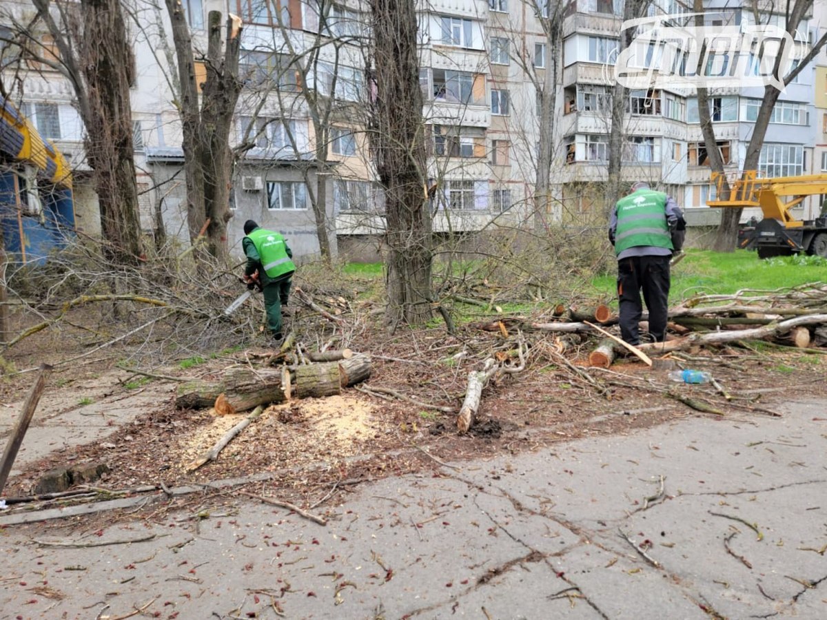 комунальники прибирають вулиці від сухостою