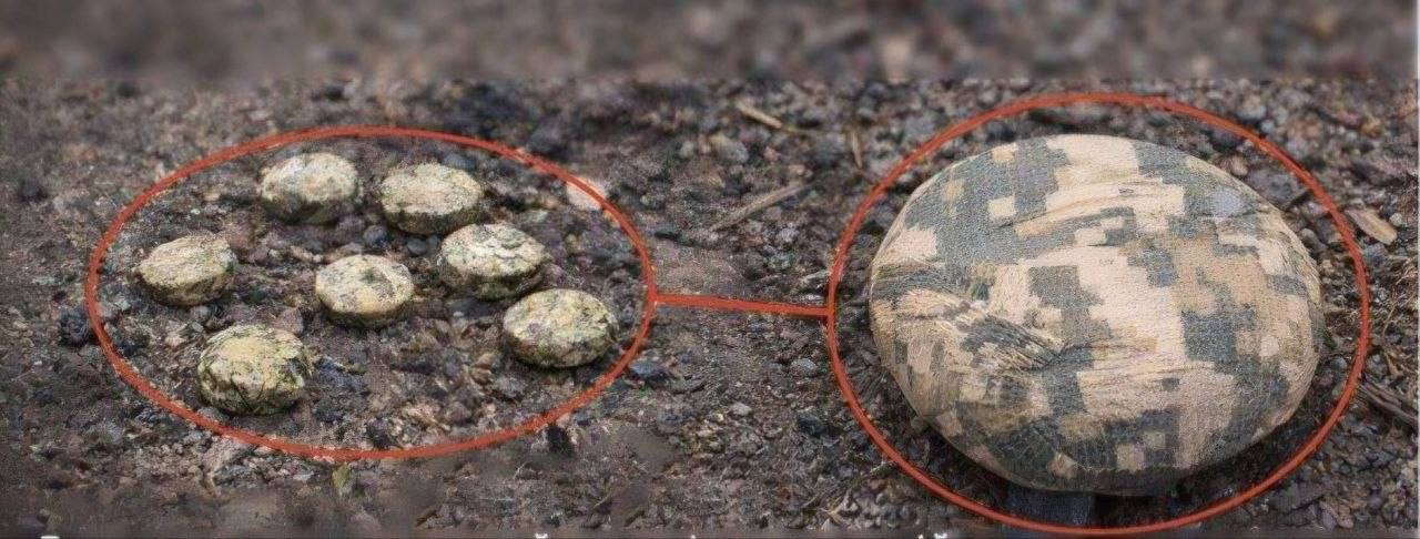 У Комишанах виявили протипіхотні міни на одній із вулиць