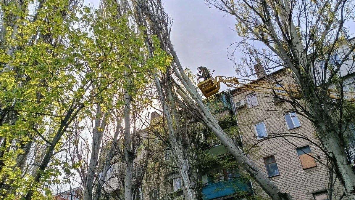 У Херсонській ОВА просять повідомляти про обірвані проводи чи повалені дерева