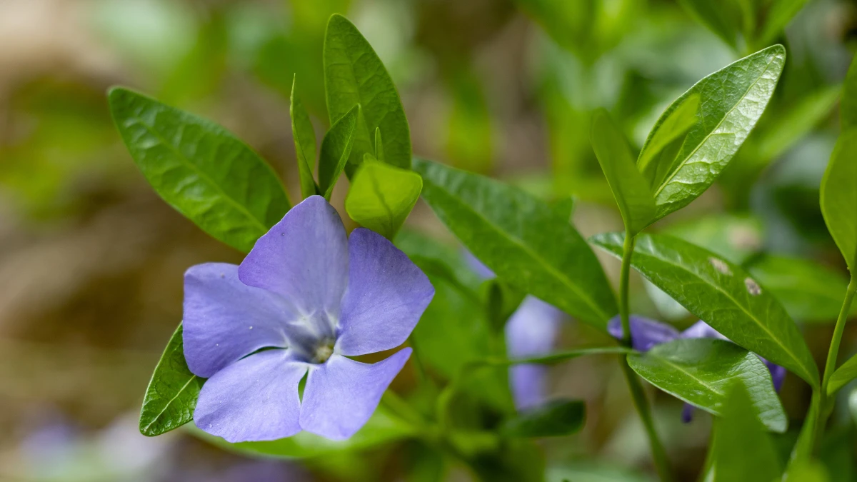 Яка погода очікується в Херсоні та області 19 квітня 2026 року?