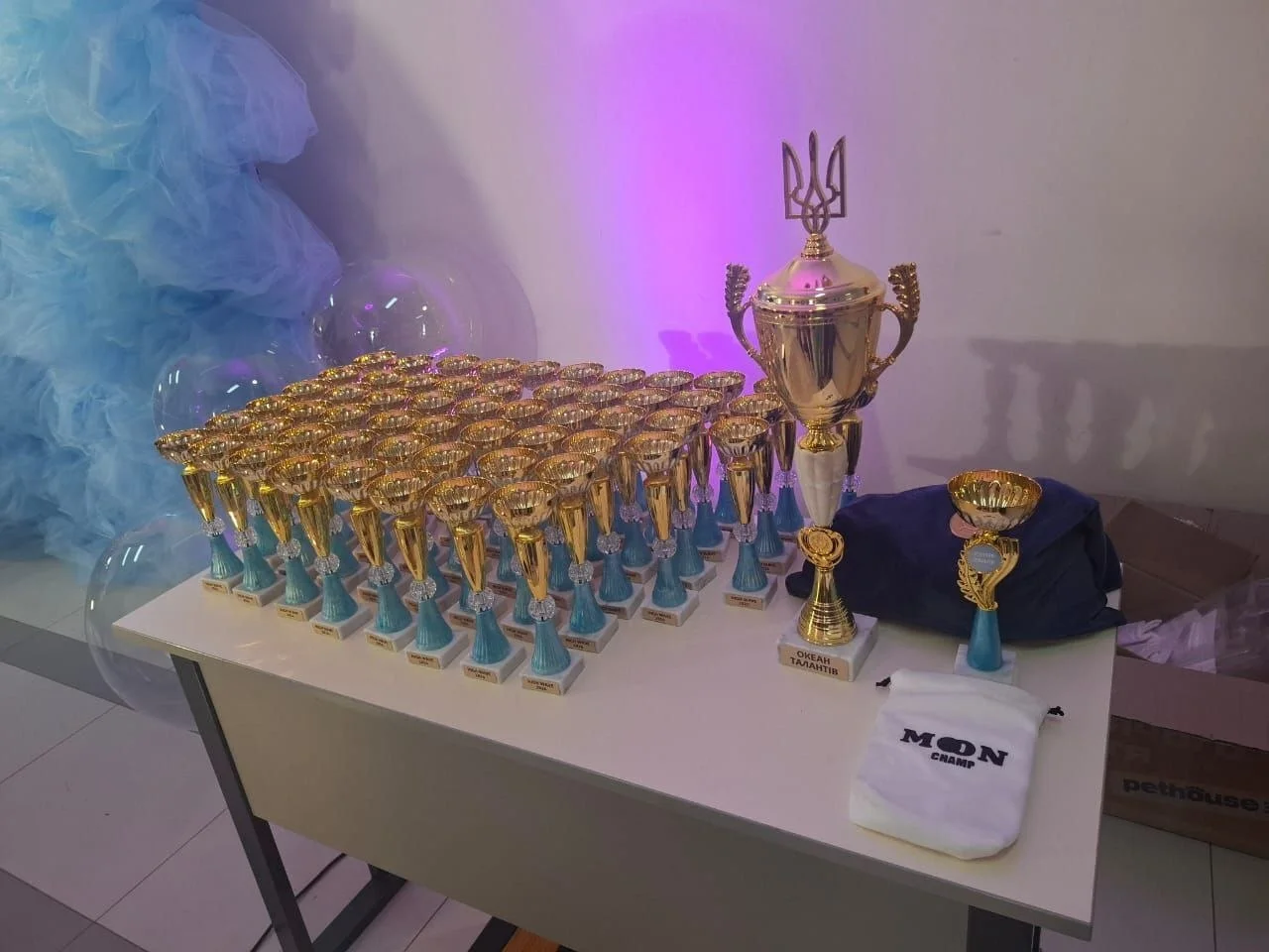 Юна спортсменка з Херсонщини перемогла на змаганнях з повітряної акробатики