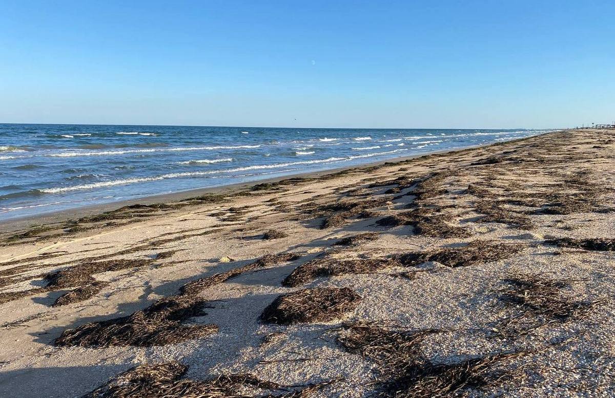 На наших очах від російської агресії вмирає Азовське море