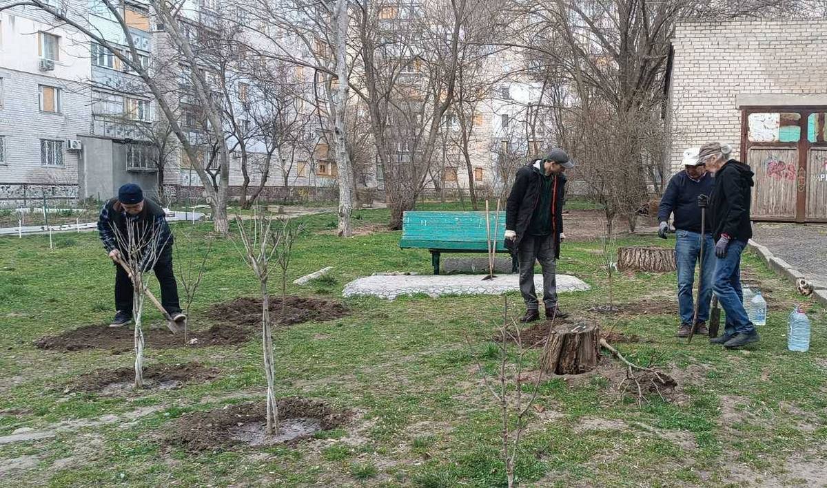 Масштабне озеленення Херсона: у місті висадять понад 2700 нових дерев