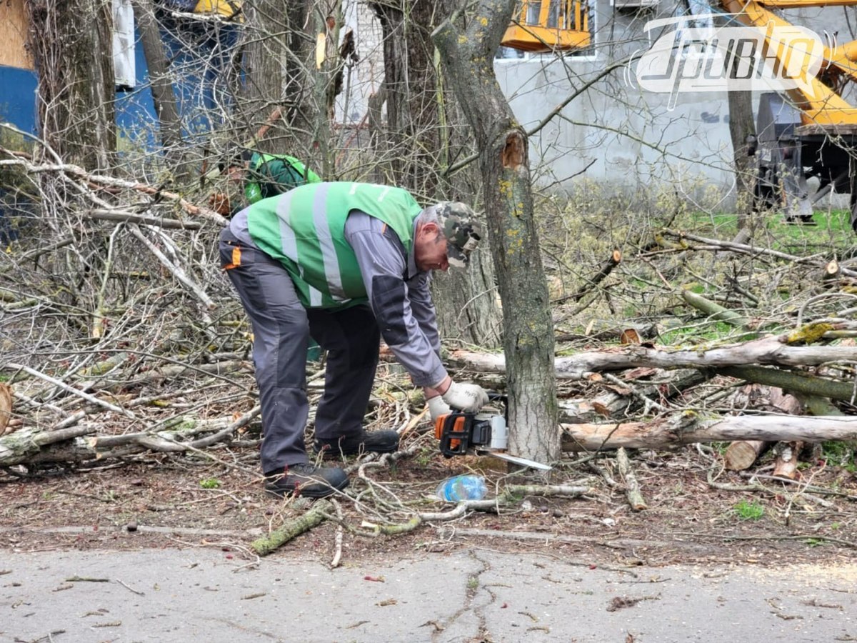 комунальники прибирають вулиці від сухостою