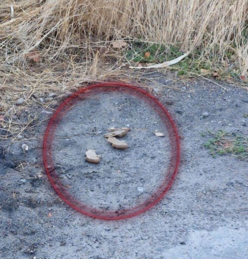 Херсонська громада