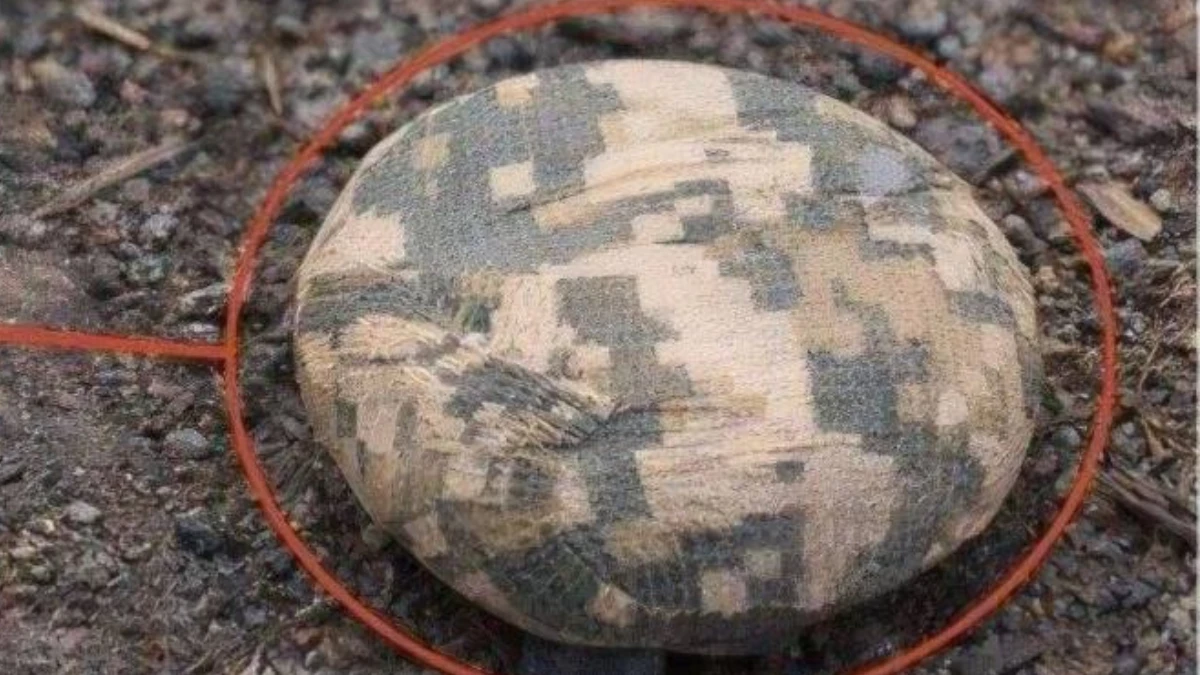 Зафіксували нові місця дистанційного мінування у Херсоні