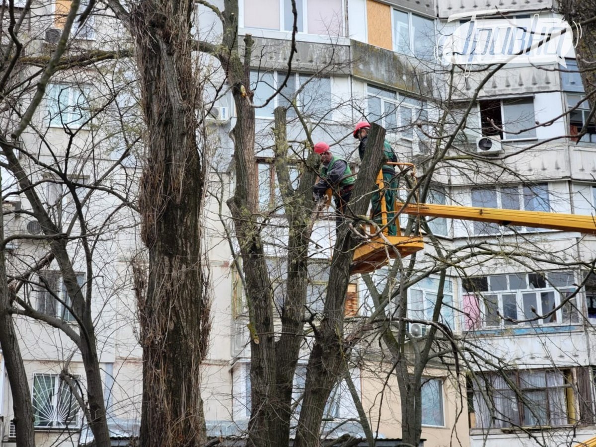 комунальники прибирають вулиці від сухостою
