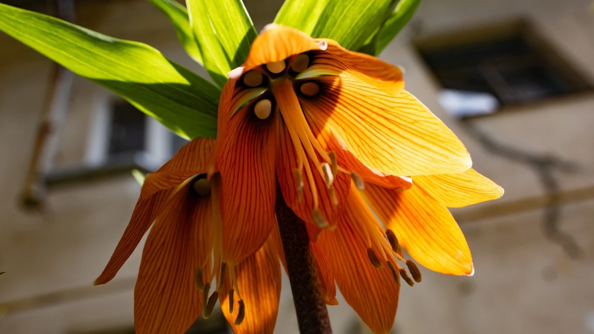 На Херсонщині наприкінці місяця температура може перевищити +25°C