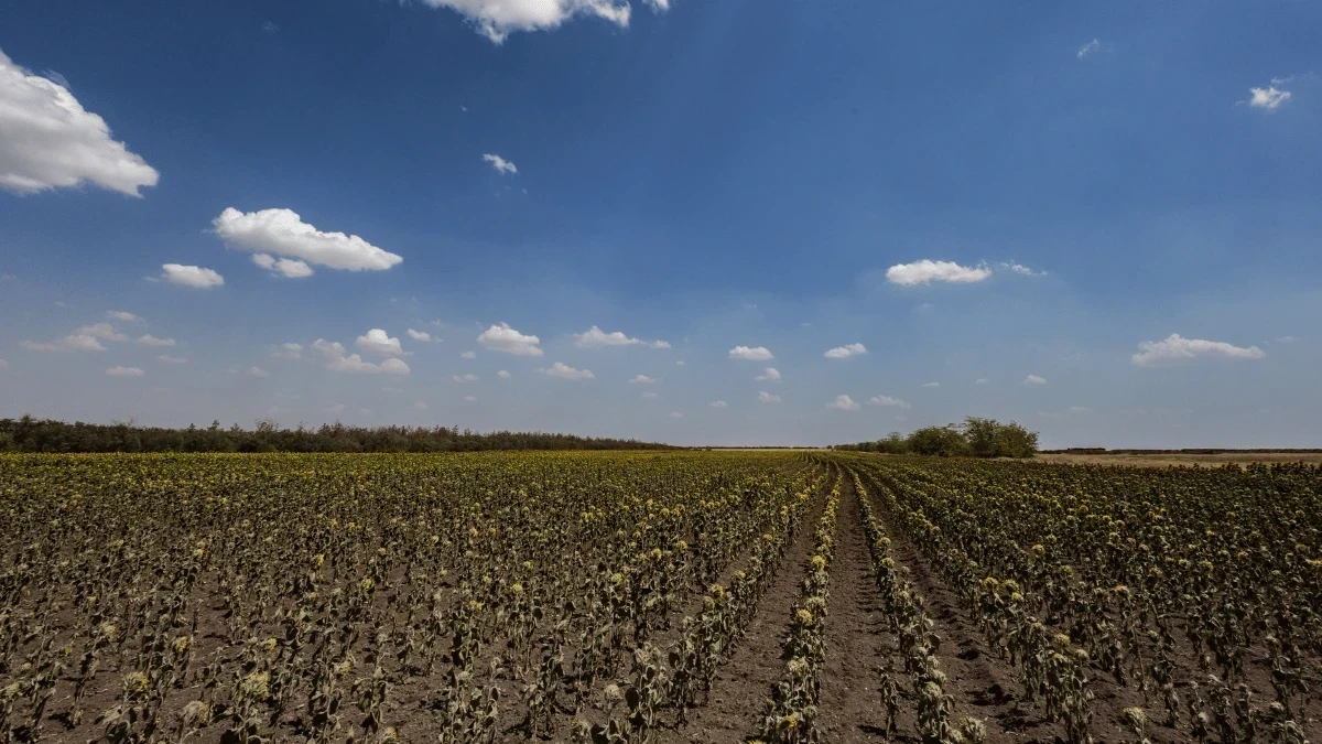 Фермери Херсонщини зможуть отримати ваучери на закупівлю добрив і посівного матеріалу