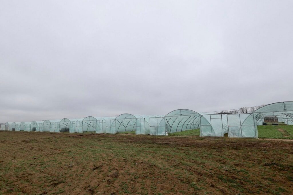 Олег Олійник розвиває тепличне господарство . Вінницька ОВА