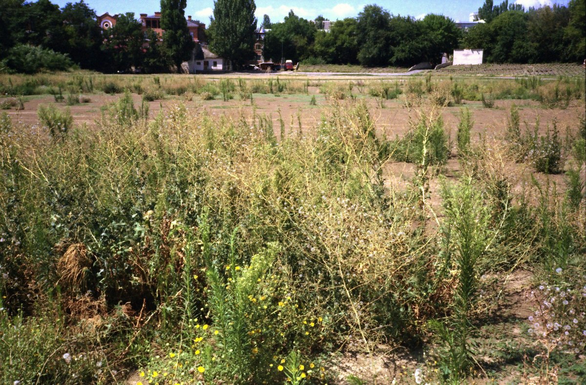 занедбане футбольне поле початок 2000х років