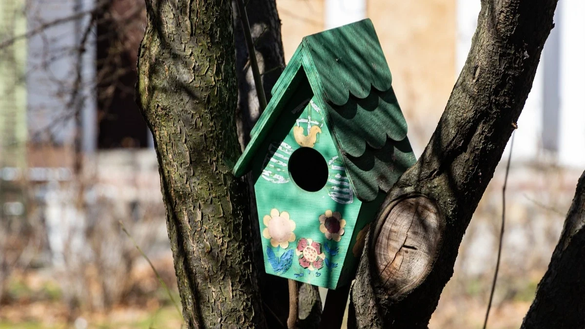 Весна на Херсонщині почалася раніше майже на три тижні, - Гідрометцентр