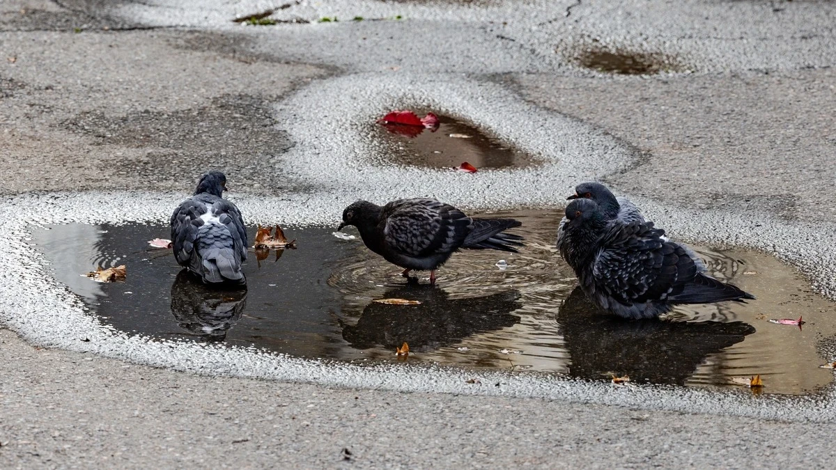 Яка погода очікується в Херсоні та області 10 квітня 2026 року?