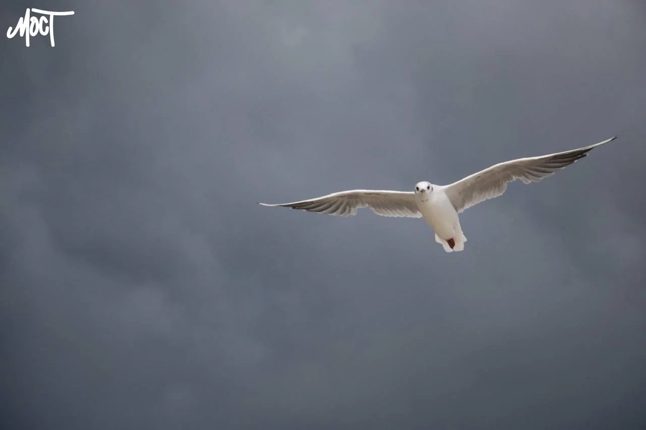 В окупованому Скадовську запроваджують туристичний податок