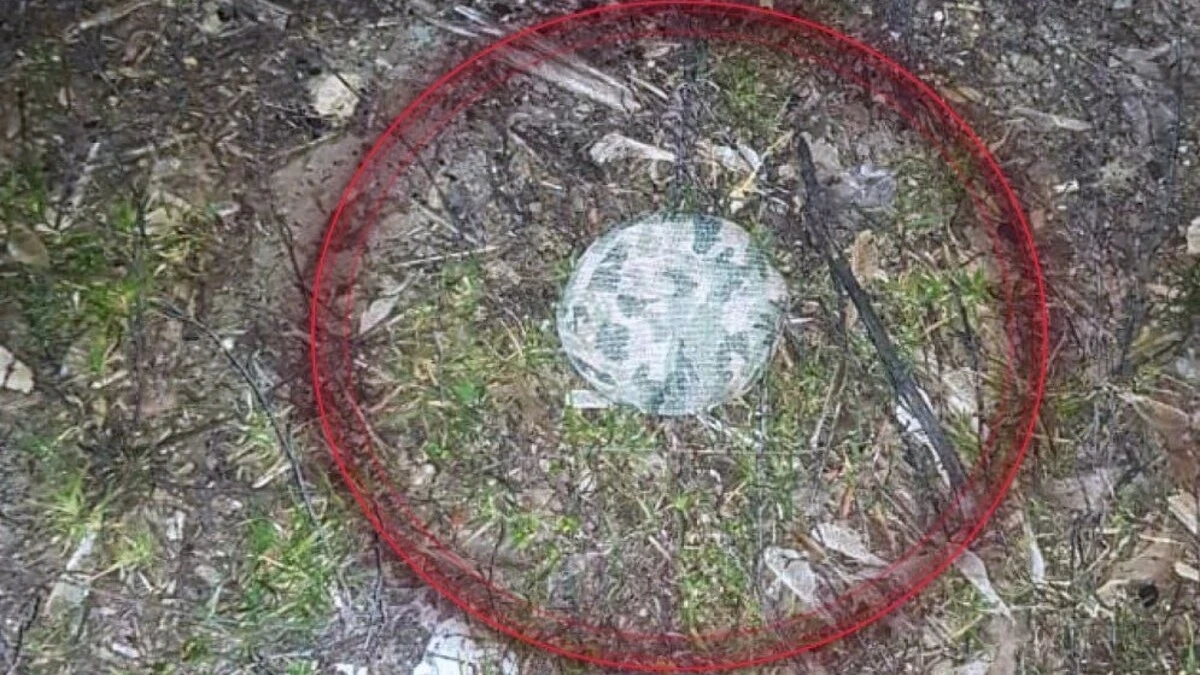 У Херсоні фіксують нові небезпечні міни та атаки дронами, - ХМВА