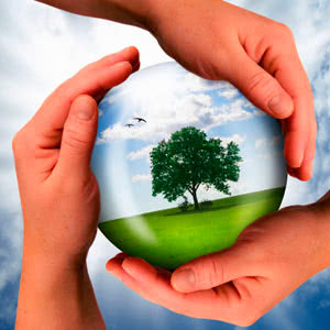 Нова екосистема, яка утворилась на місці Каховського водосховища, має певні потенційні ризики